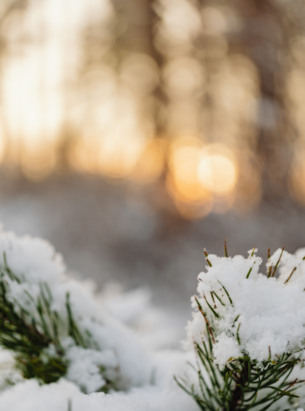 Kaipaatko kipinää ja inspiraatiota kevättalveen?